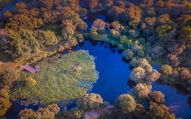Trecombe Lakes Camborne Εξωτερικό φωτογραφία