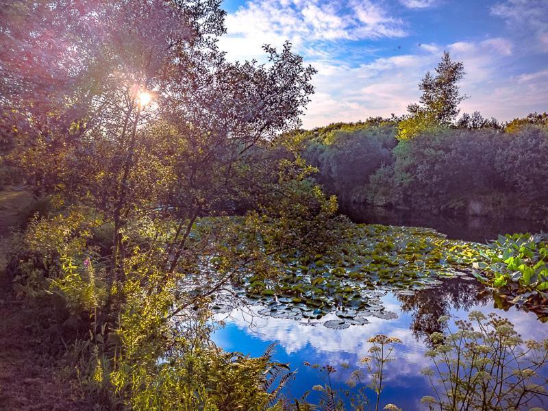 Trecombe Lakes Camborne Εξωτερικό φωτογραφία