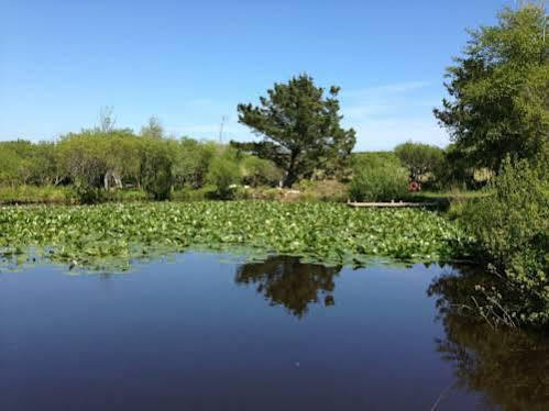 Trecombe Lakes Camborne Εξωτερικό φωτογραφία